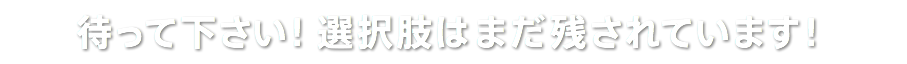 待って下さい！選択肢はまだ残されています！